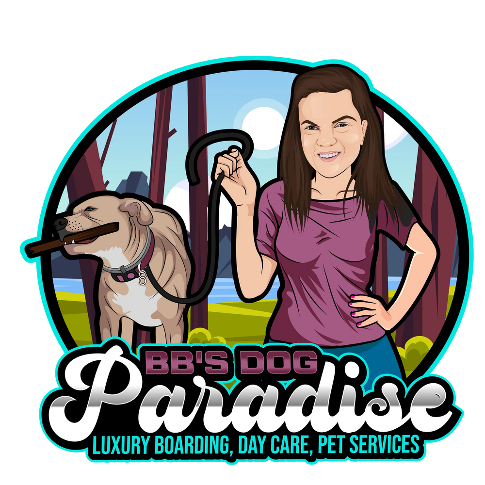BB's Dog Paradise Dog Boarding, Dog Daycare